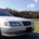 cresta7878