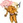 dappi