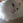 yasu_yuki