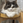 てん