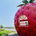 aroha_tech