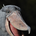 yospig