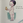 鮭