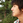 Teppei_Furuki