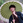Rym