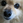 manabu0226