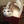 hitoshi_yamazaki_336