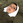 ikeshi_shigetchi