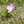tnk_950423