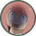 Shunnei Awano