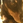 Takashi SAIONJI