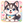 k.fuchigami