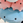 せし