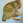 ねこさん