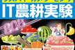 「IT農耕実験の世界」オフ会