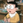 darksan