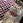 nomi_jun
