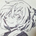 k-daiguji