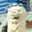 altn_Alcearosea