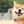 ぽとるふ