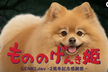 GENKI.dev 2周年祭 もののげんき姫