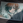 shibuaya