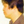 kei_kondoh
