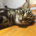 yasu_39