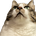 わみ