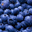 bluegold