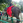 aso_28