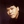 ryotaro
