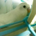 Yuunan_5581