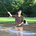 R_Yoshimoto