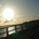 Hashimoto002