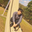 Shunsuke Sasaki