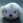 StoneDot
