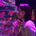 yuko_kikuta