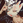 Tikitarou