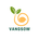 VANGSOW CEO 湯浅桃太郎
