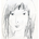 Saki Aka