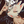 Tikitarou