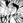shozo_yamazaki