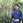 JunYamaguchi