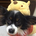 daisukemx