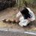trail_waka1