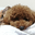 hisashi_hashimoto