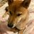 Rieko