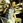 PePe0224
