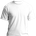 whtsht